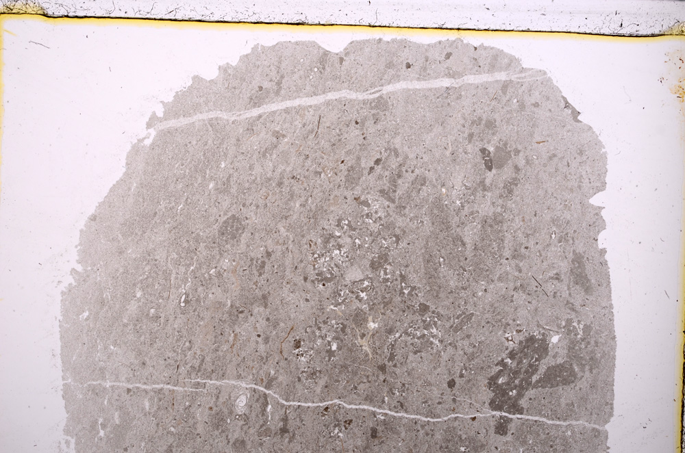 Plane Polarized, E23955