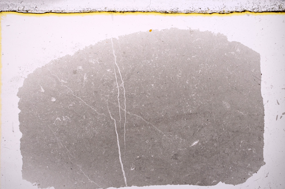 Plane Polarized, E23956