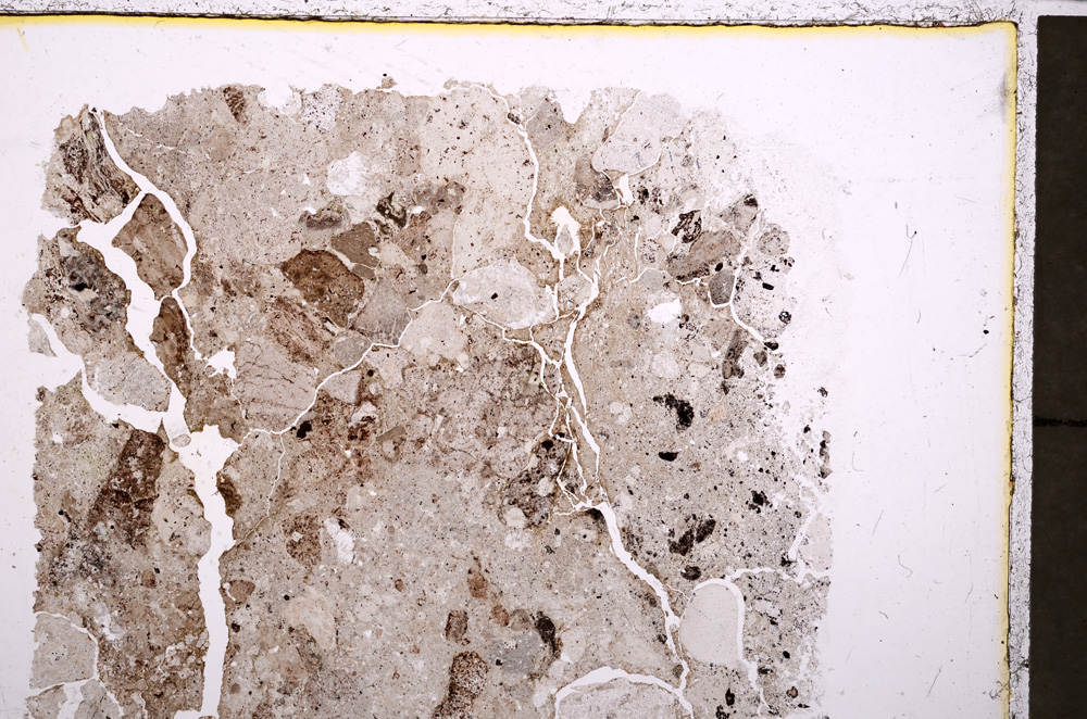 Plane Polarized, E23959