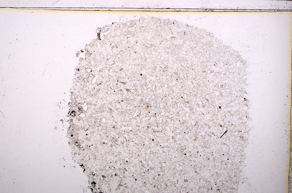 Plane Polarized, E24061