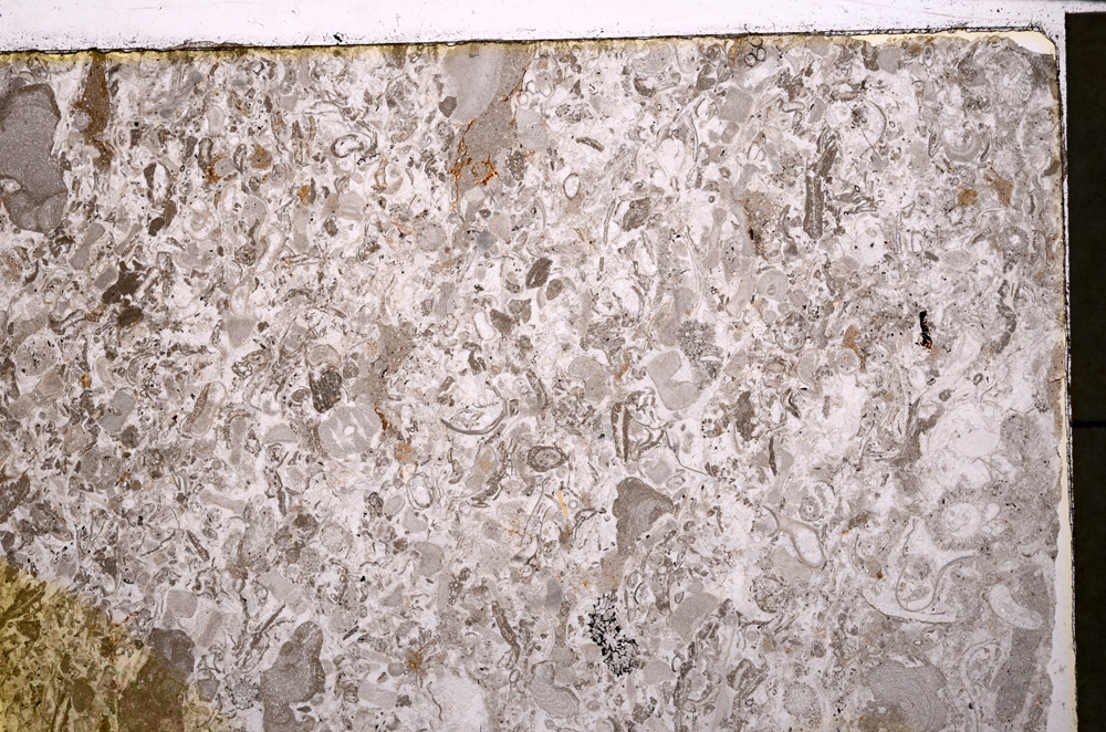 Plane Polarized, E24064