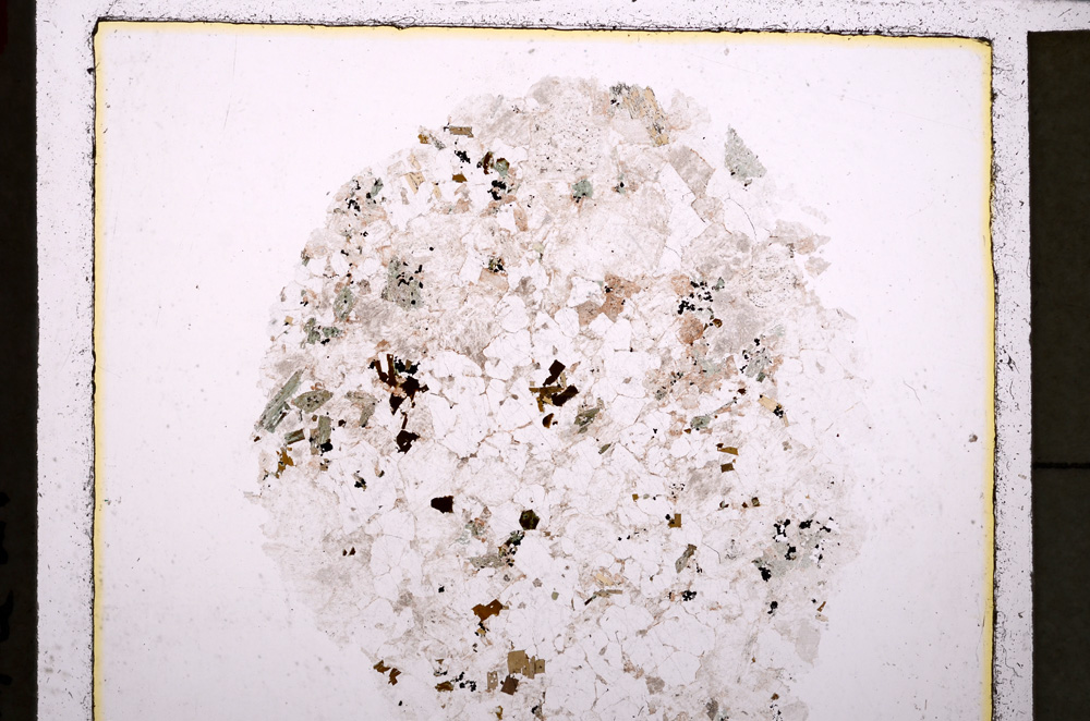 Plane Polarized, E24077