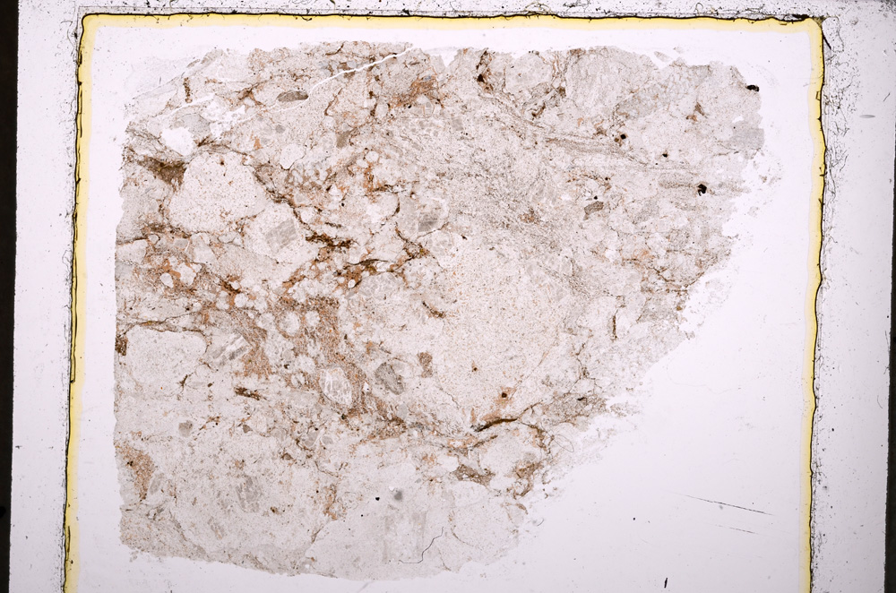 Plane Polarized, E24089