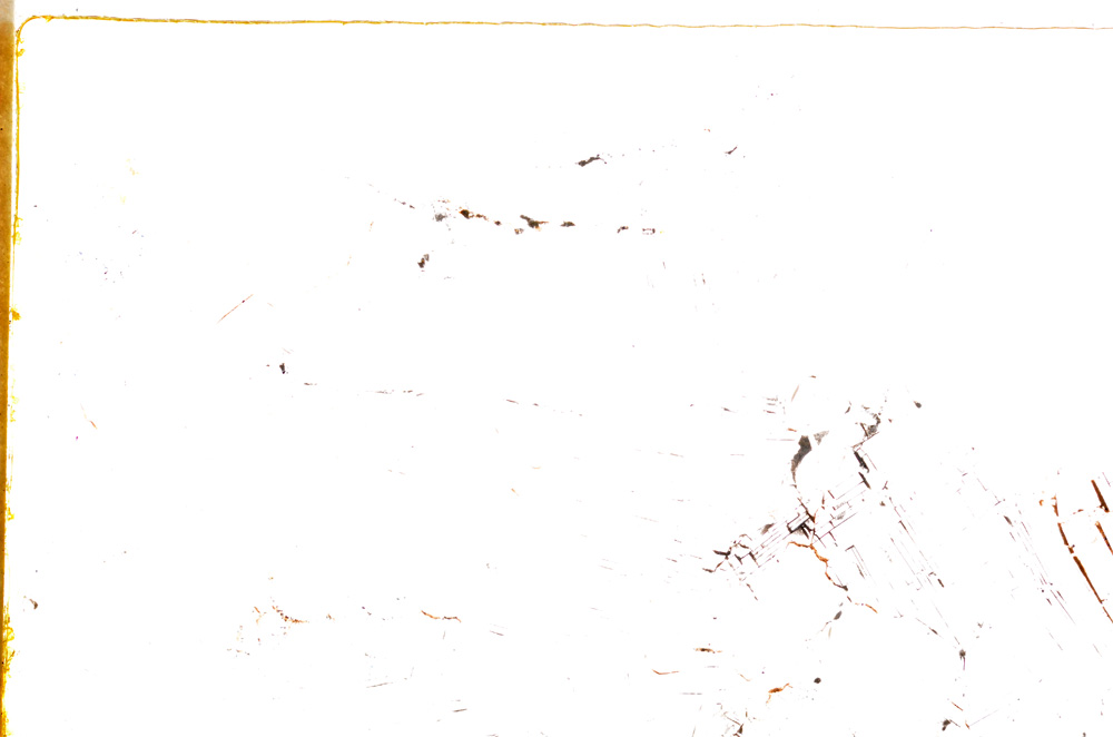 Plane Polarized, E24131