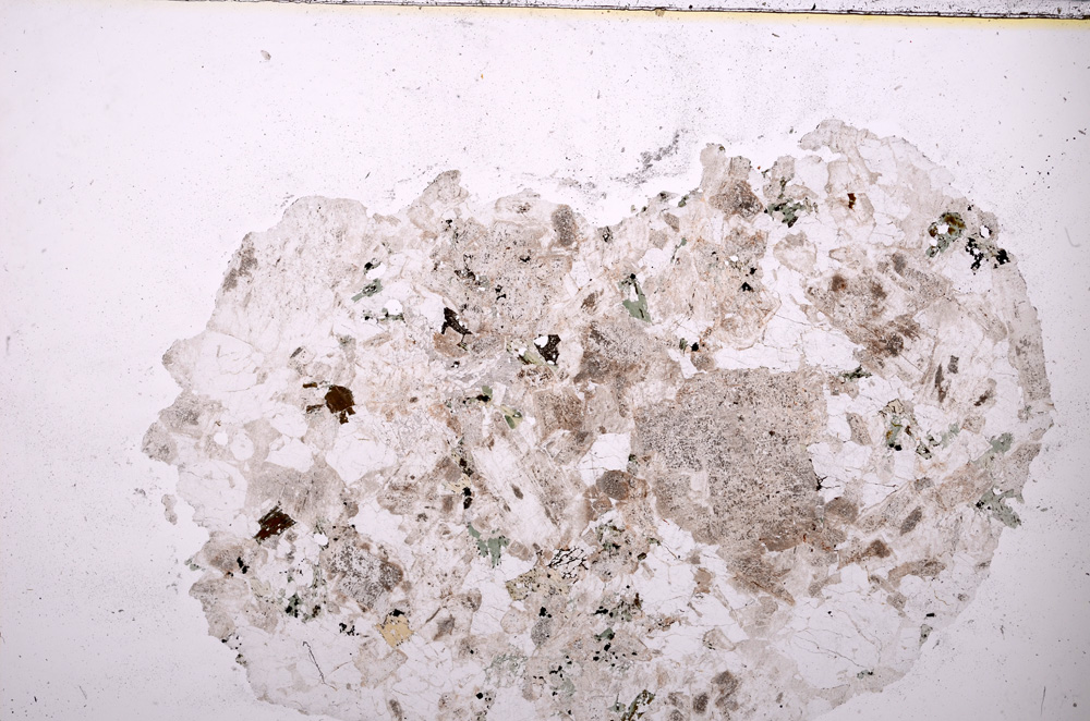 Plane Polarized, E24147