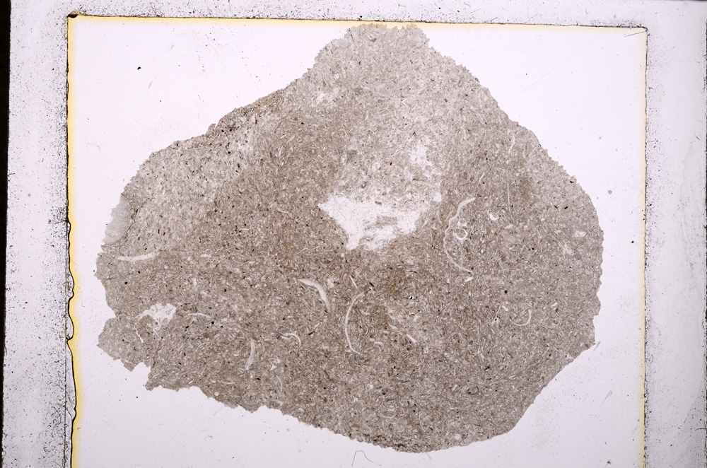 Plane Polarized, E24155