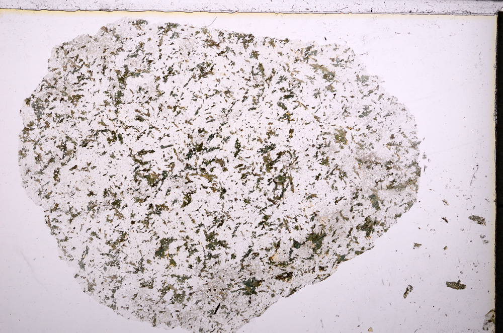 Plane Polarized, E24160