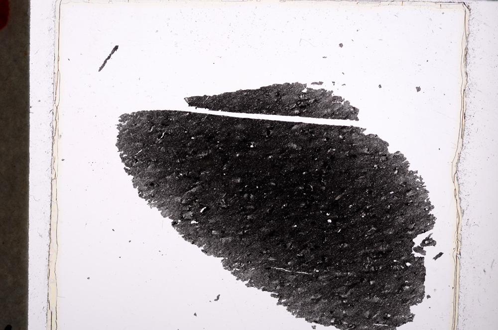 Plane Polarized, E24162