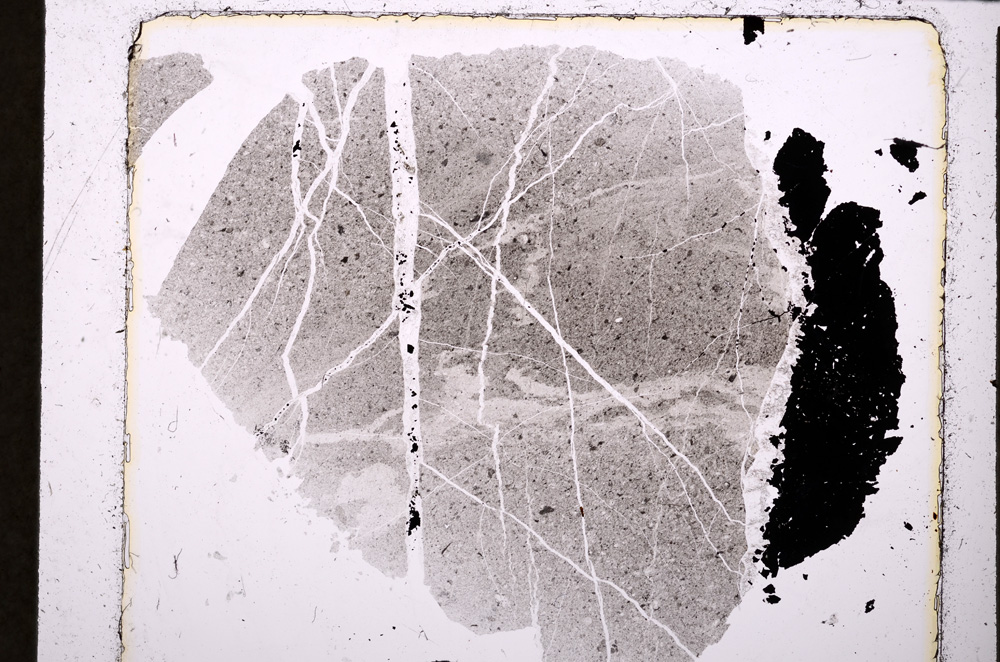 Plane Polarized, E24178