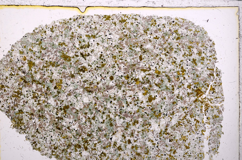 Plane Polarized, E24202