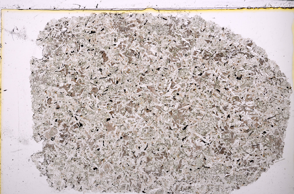 Plane Polarized, E24207