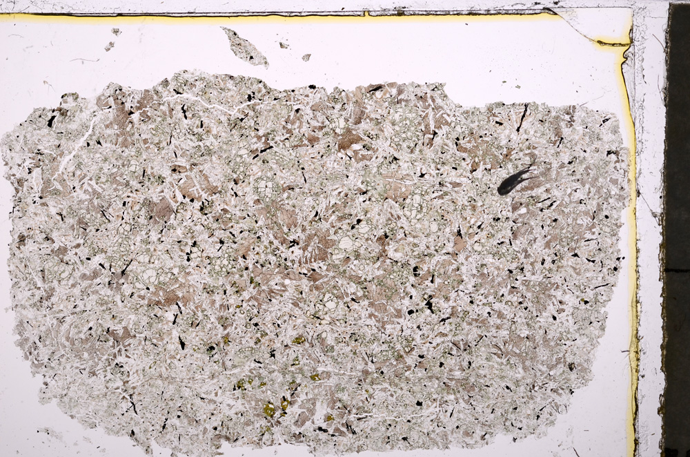 Plane Polarized, E24208