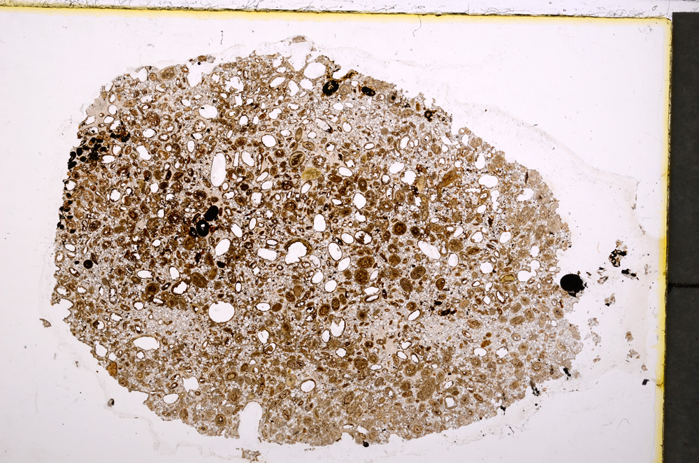 Plane Polarized, E24225