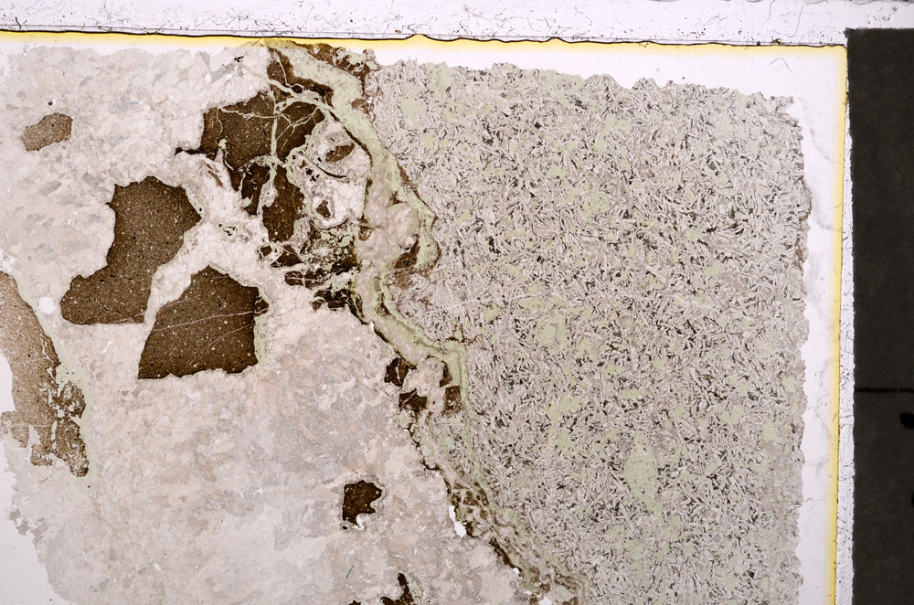 Plane Polarized, E24243