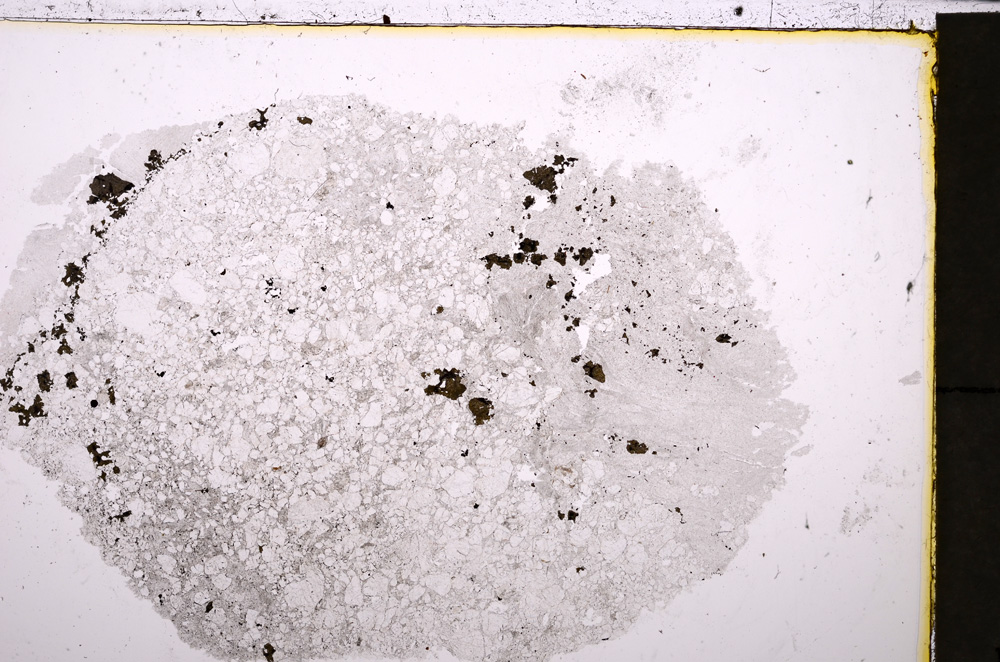 Plane Polarized, E24250