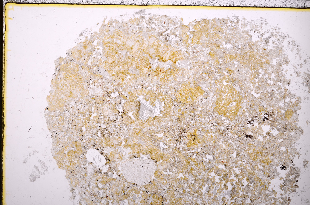 Plane Polarized, E24317