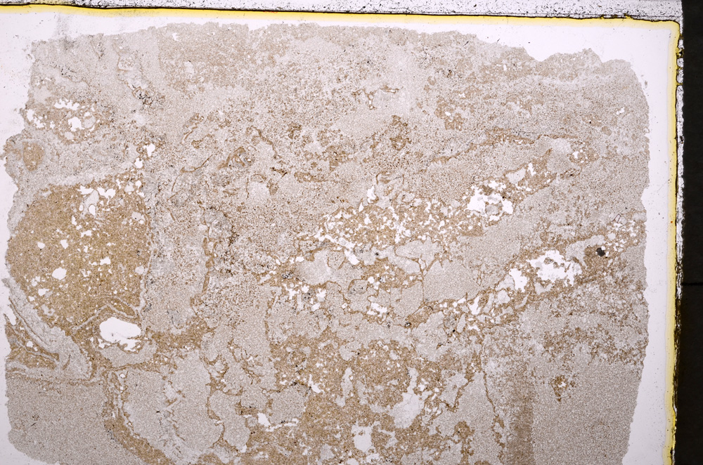 Plane Polarized, E24323