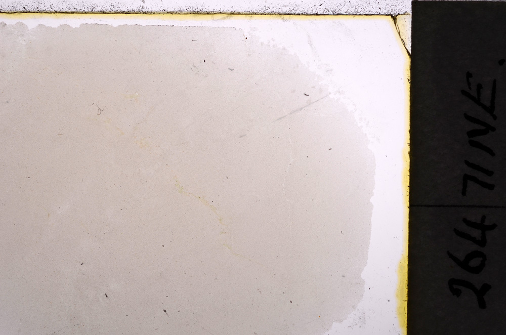 Plane Polarized, E24324