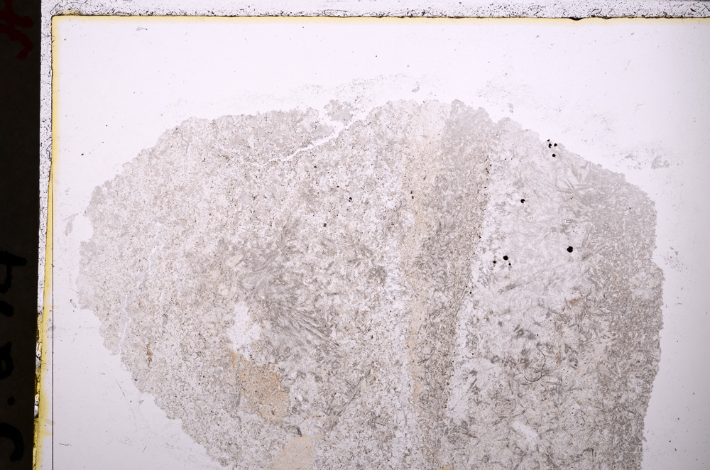 Plane Polarized, E24326