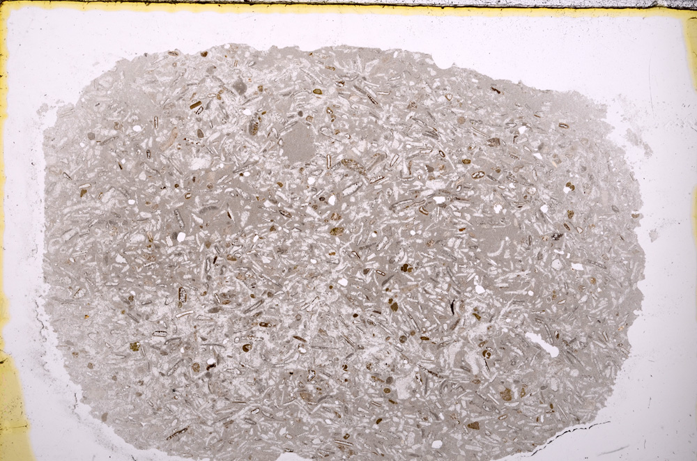 Plane Polarized, E24328