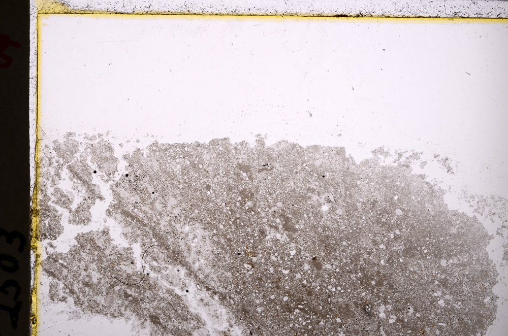 Plane Polarized, E24333