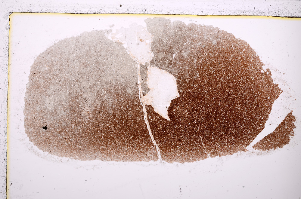 Plane Polarized, E24338