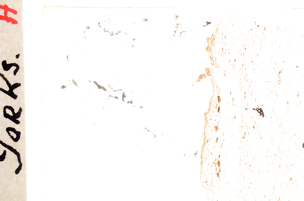 Plane Polarized, E24364