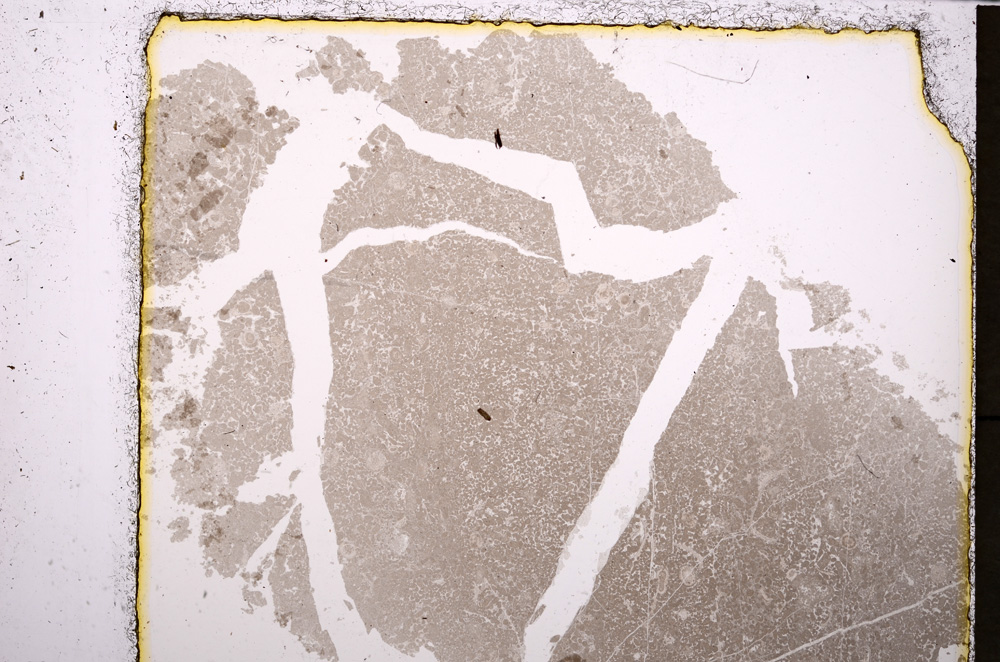 Plane Polarized, E24430