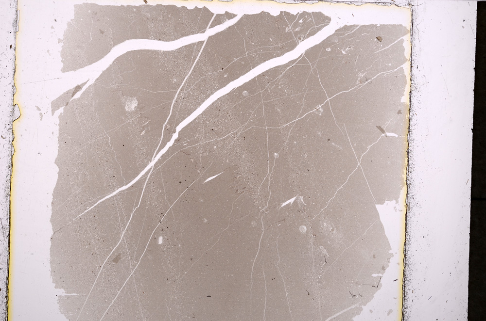 Plane Polarized, E24436