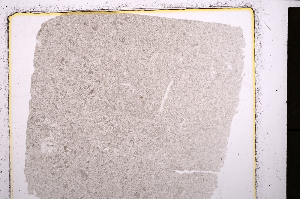 Plane Polarized, E24437