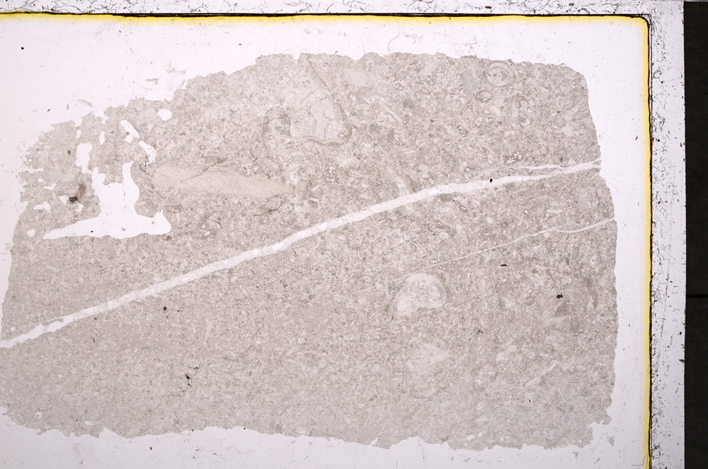 Plane Polarized, E24454