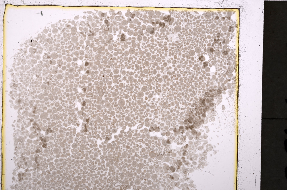 Plane Polarized, E24477