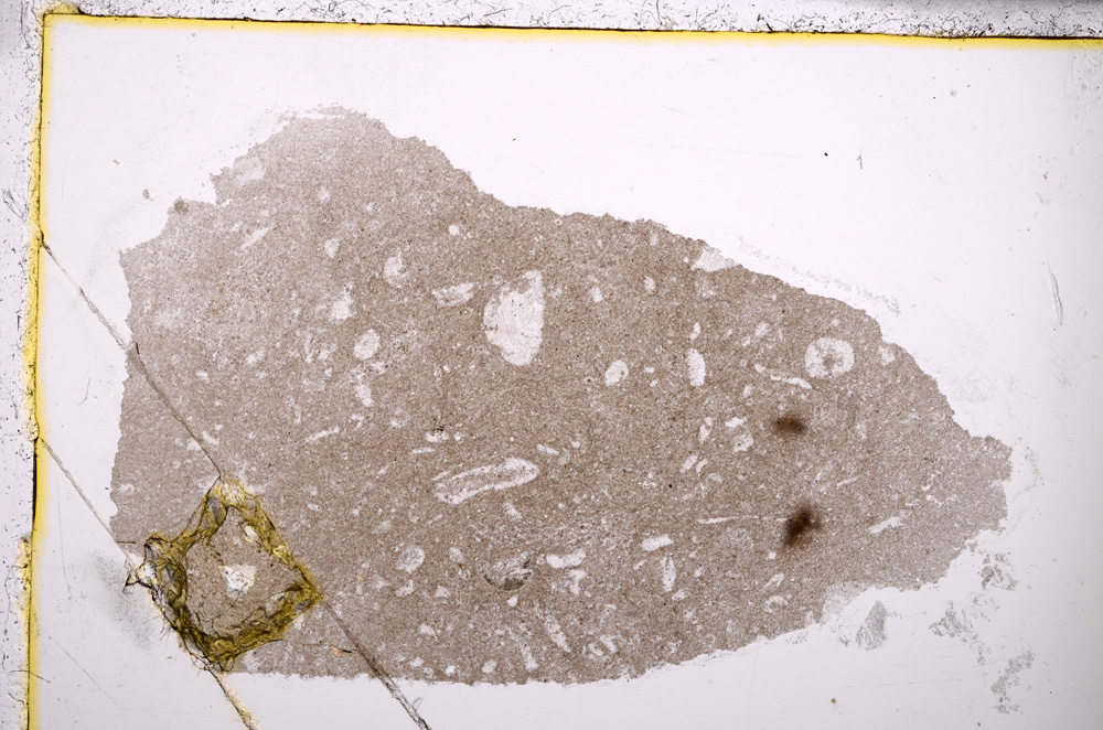 Plane Polarized, E24522