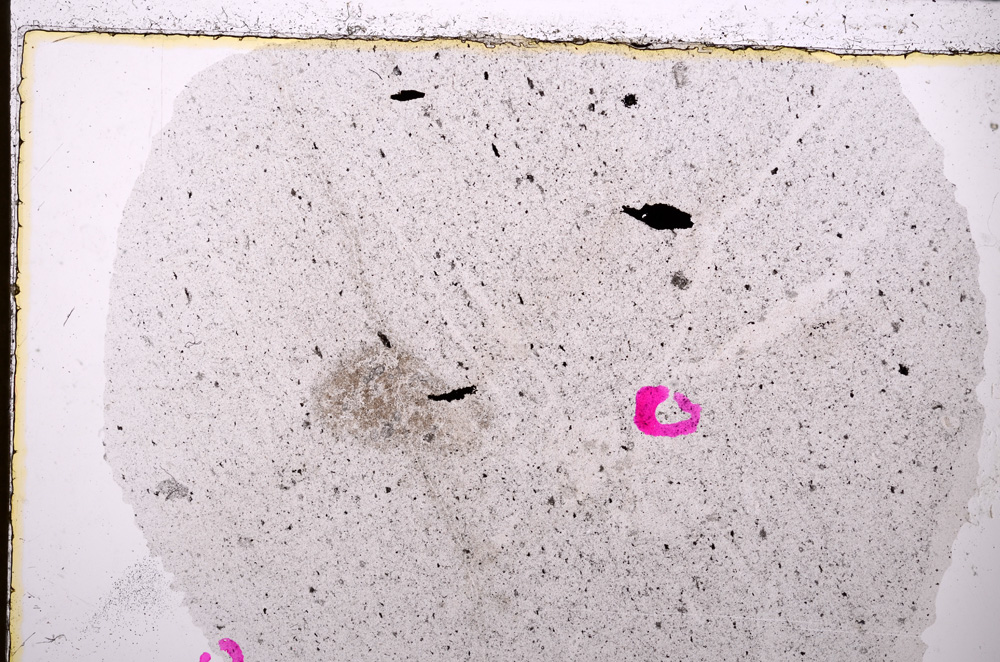 Plane Polarized, E24585