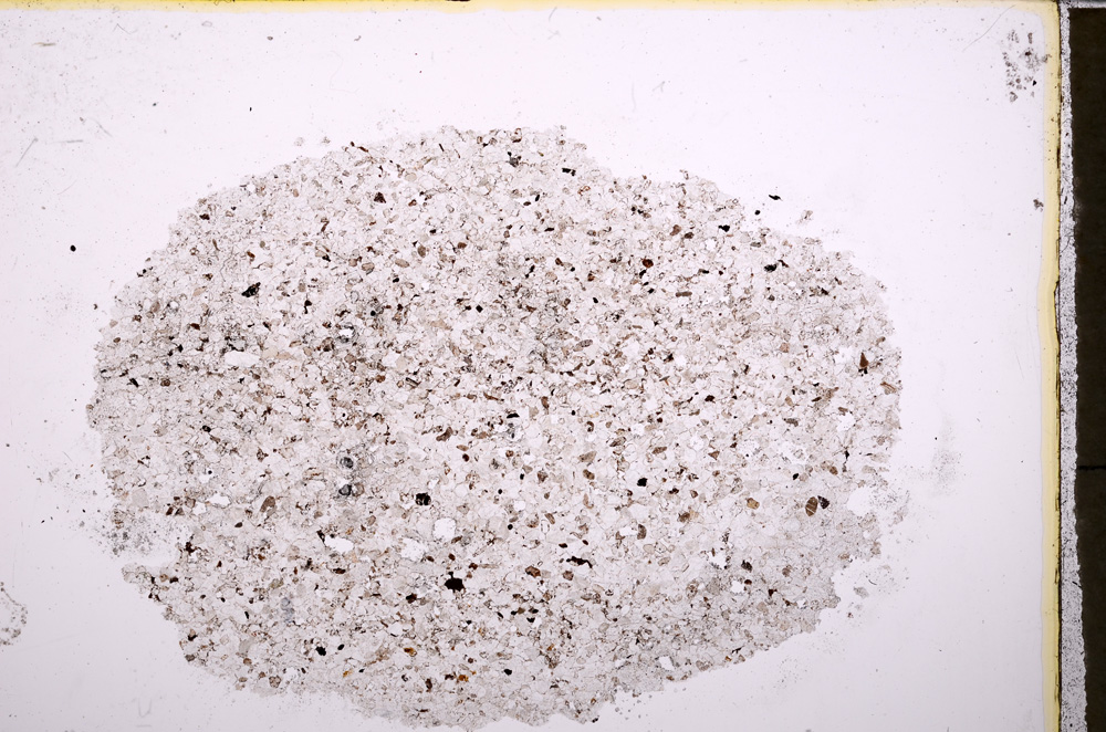 Plane Polarized, E24602