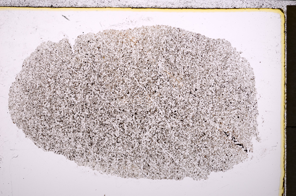 Plane Polarized, E24604