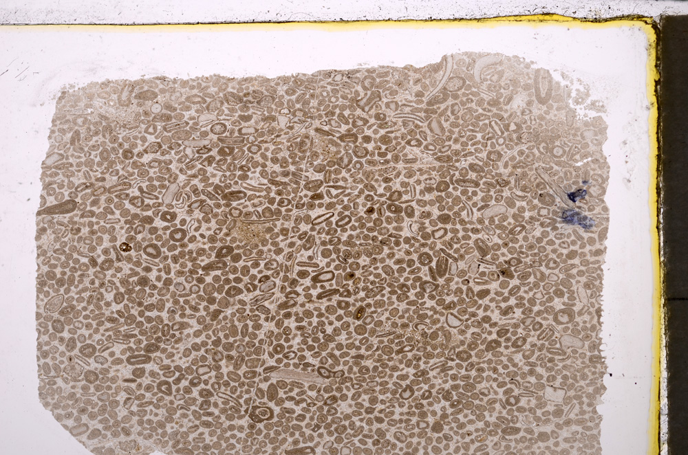 Plane Polarized, E24607