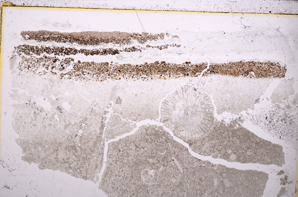 Plane Polarized, E24621