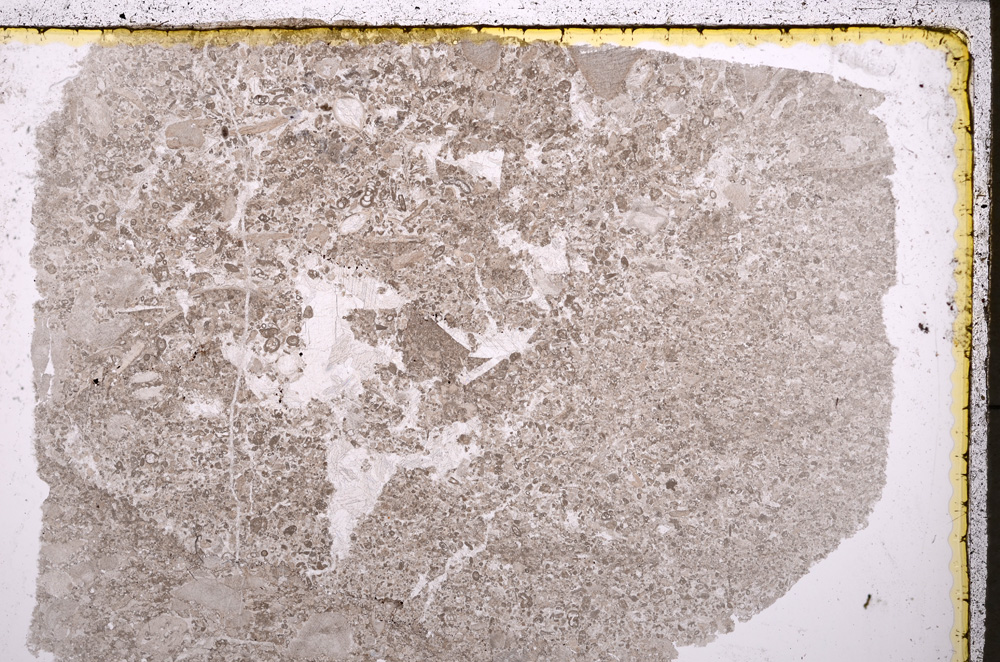 Plane Polarized, E24628