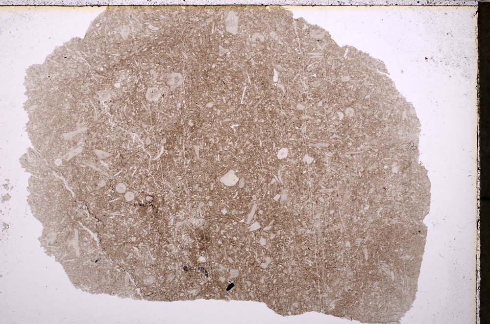 Plane Polarized, E24629