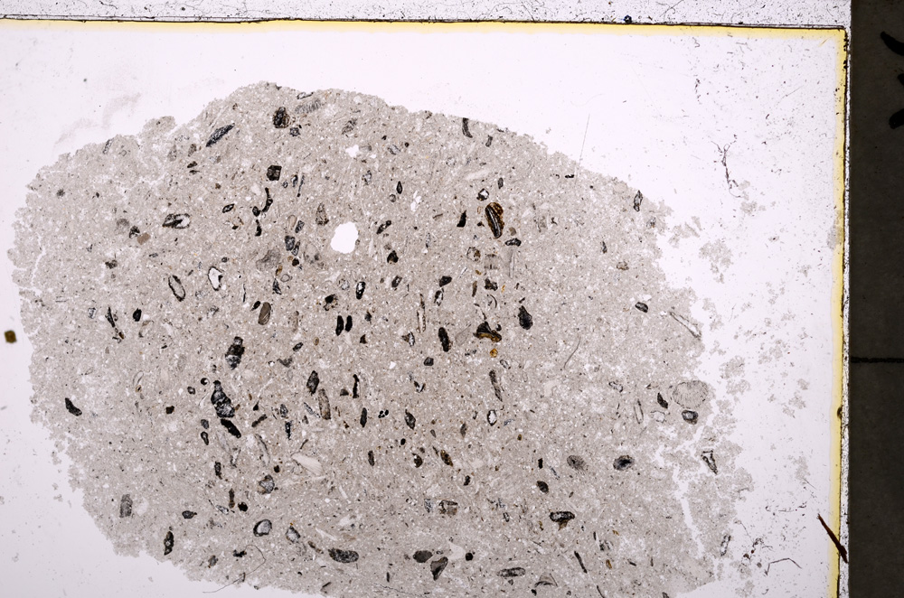 Plane Polarized, E24636