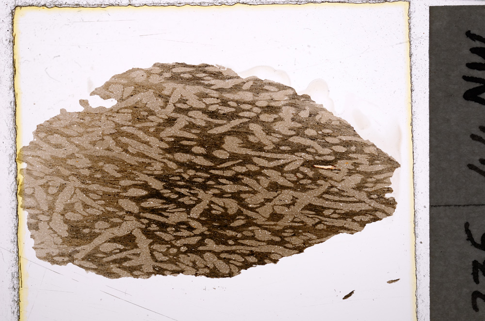 Plane Polarized, E24641