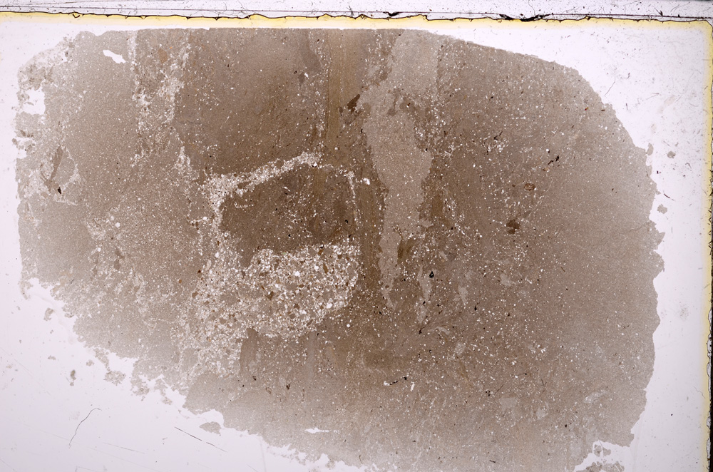 Plane Polarized, E24652