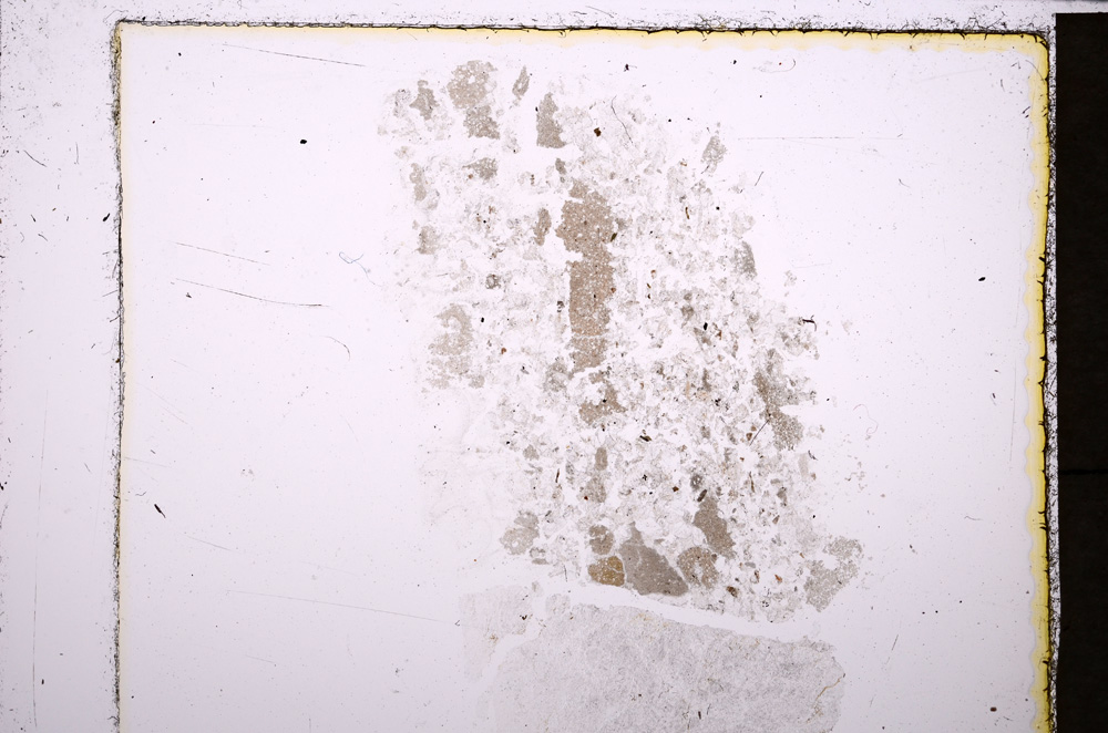 Plane Polarized, E24687