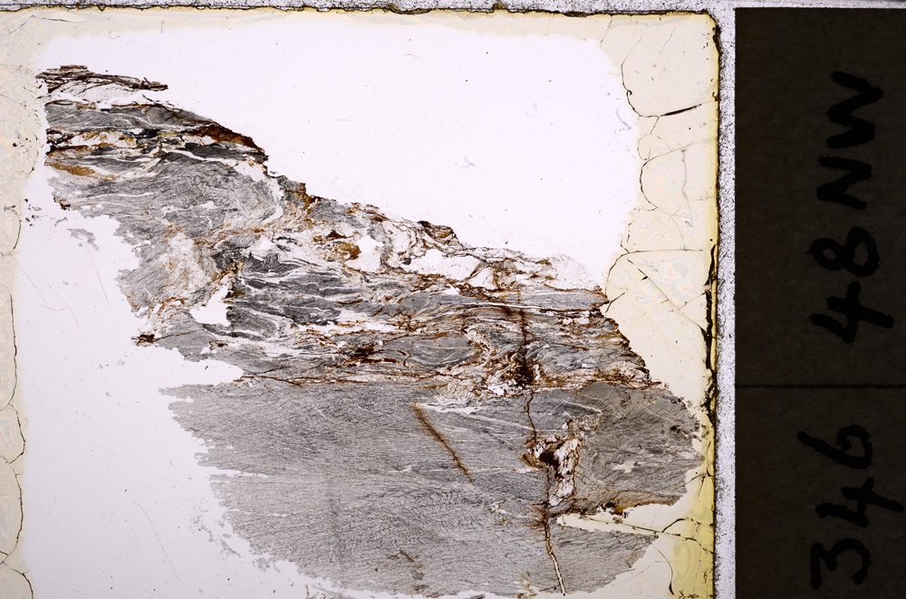 Plane Polarized, E24720