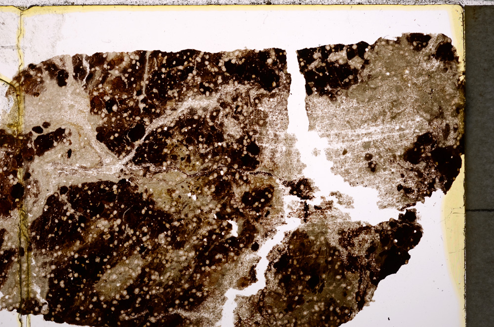 Plane Polarized, E24754