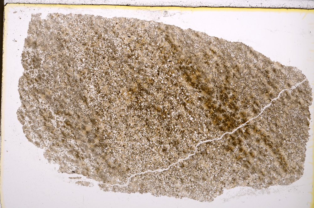 Plane Polarized, E24757