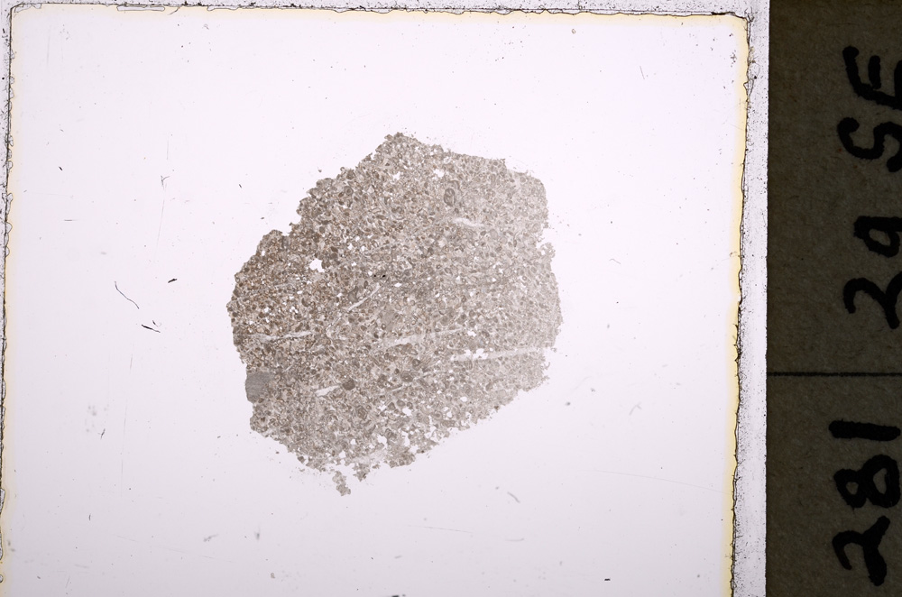 Plane Polarized, E24794