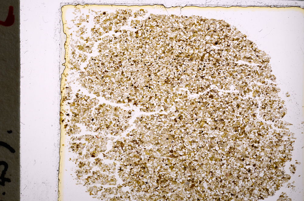 Plane Polarized, E24856