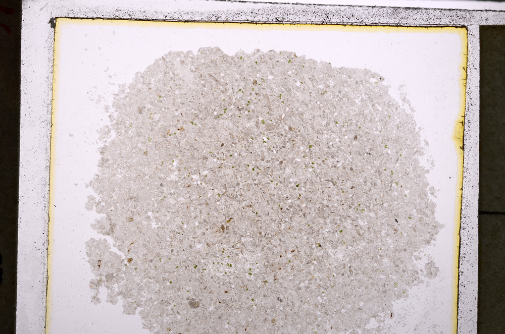 Plane Polarized, E24952